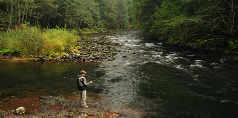 Conserving Land At The Heart Of The Sandy River Basin Salmon And