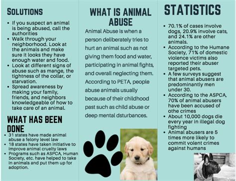 How Many Dogs Die A Year From Abuse