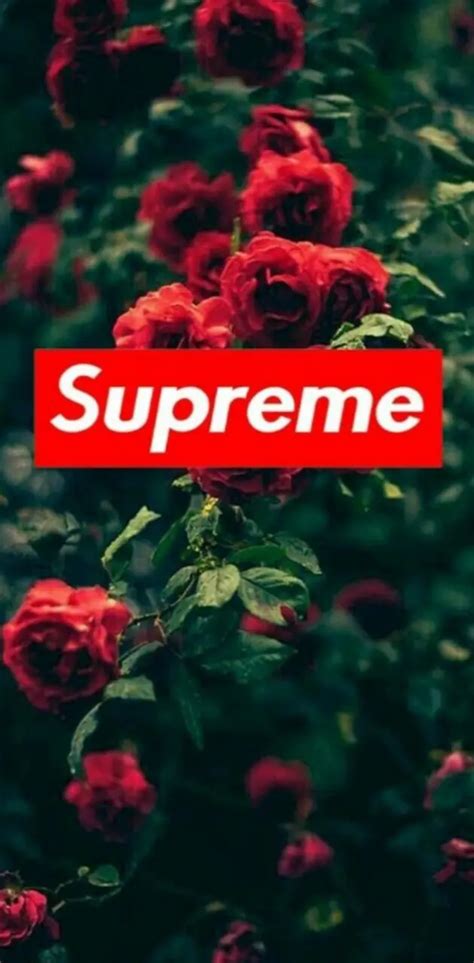 Supreme Wallpaper By Youngpicasso Download On Zedge D960
