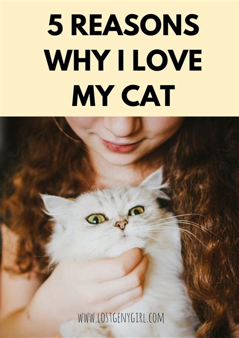 5 Reasons Why I Love My Cat Muse By Purina Giveaway