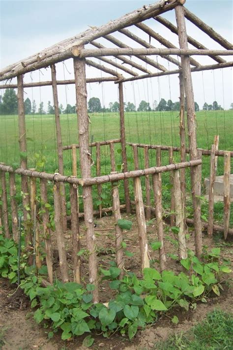 For pole beans, set up trellises, stakes, or other supports prior to planting so that the plants' fragile roots are not disturbed. Trellis Design, Best Bean Trellis Ideas Cucumber Pole ...