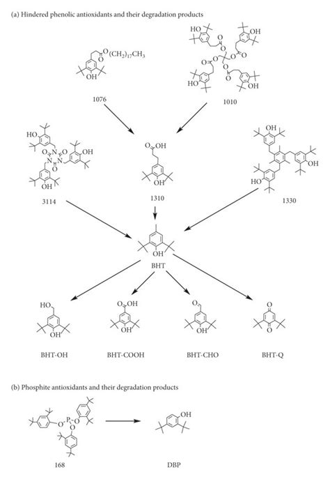 Schematic Diagram Of Antioxidant Degradation Pathways A Hindered
