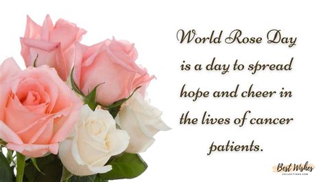 World Rose Day Quotes And Wishes Best Wishes Collections