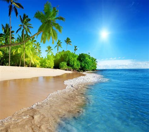Tropical Beach Paradise Wallpapers Desktop Background Df9