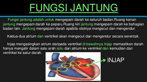 E filing file your malaysia income tax online imoney. Kepentingan Menjaga Kesihatan Jantung Sains Tingkatan 3
