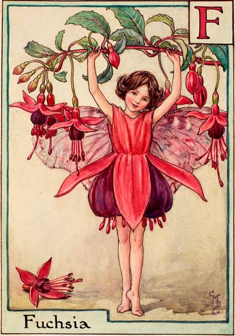 Fuchsia Fairy Flower Fairies