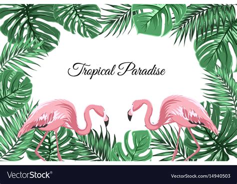 Tropical Border Frame Green Leaves Pink Flamingos Vector Image