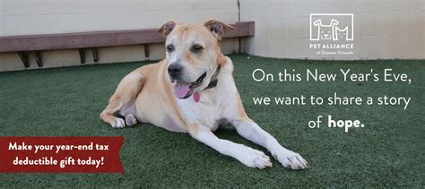 We also require adopters take their new pet to a veterinarian of their choosing, and at their expense, within 72 hours of adoption for a full screening. Kole Has Been Looking for a Home for 82 Days - Pet ...