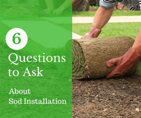 6 Questions To Ask Your Sod Installer Nova Landscape And Design