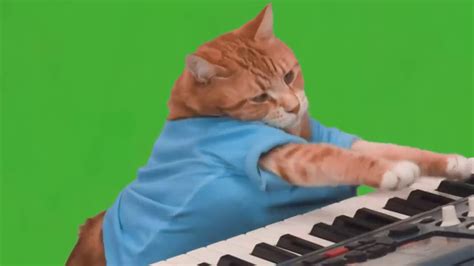 Keyboard Cat Youtube