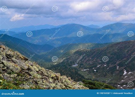 Mountain Stone Slope Overgrown With Moss Grass Bushes And Trees In The