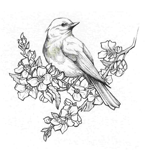 450x470 bird orange flower line drawing vintage vector tattoos. Картинки что можно нарисовать (40 фото) • Прикольные ...