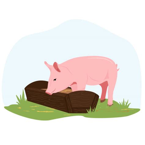 Cartoon Of Pigs Eating Illustrations Royalty Free Vector Graphics