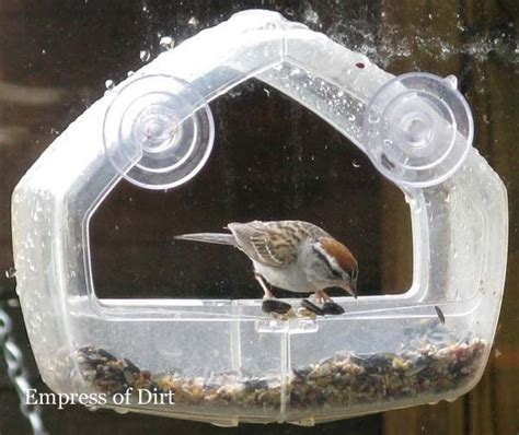 Window Bird Feeders Via Empress Of Dirt Window Bird Feeder Bird