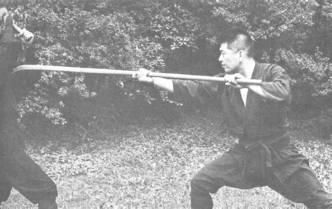 Togakure Ryu Ninpo Taijutsu Y Sengoku Ninpo Zukan — Verkami