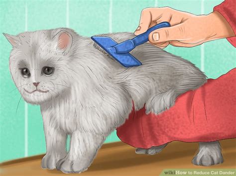 You may get confused between cat allergy and dog allergy if you own both. 4 Ways to Reduce Cat Dander