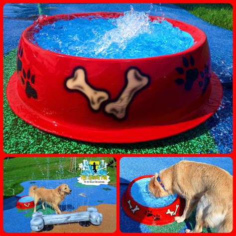 Selecting the best dog water fountain shouldn't really be difficult. Dog Water Park Dog Bowl Water Play Features for your ...