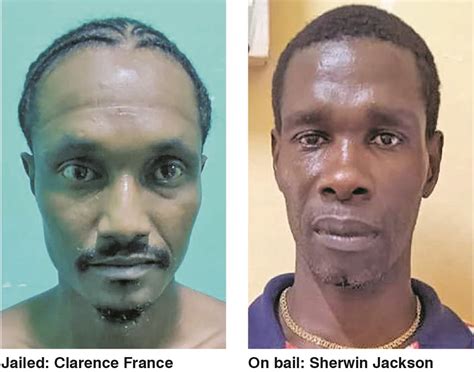 Labourer Gets Months For Narco Trafficking Guyana Times