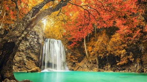 Wallpaper Trees Forest Waterfall Nature Reflection Tree Autumn