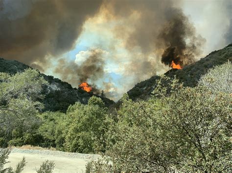 Bobcat Fire Grows To 8500 Acres Monrovia Warned Of Potential