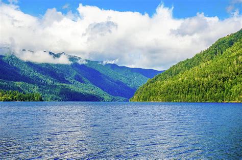 Lake Quinault Washington Photograph By Dan Sproul
