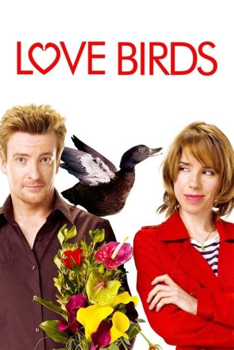 Love Birds Download Watch Love Birds Online