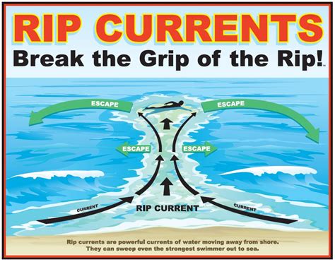 Rip Current Safety Information California Sea Grant