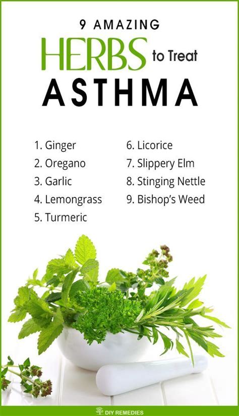 Herbs For Treating Asthma Thenaturalcoloncleanse Natural Asthma