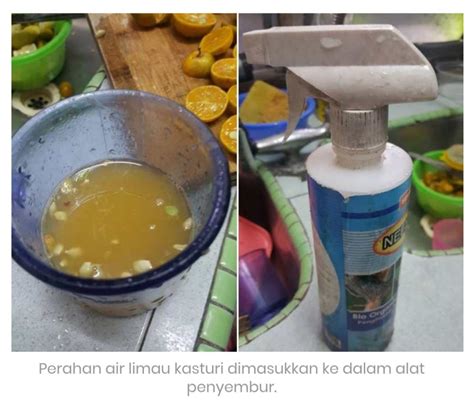 Panduan elak ayam berak merata. Petua Hilangkan Bau Tahi Kucing Dan Elak Kucing Berak ...