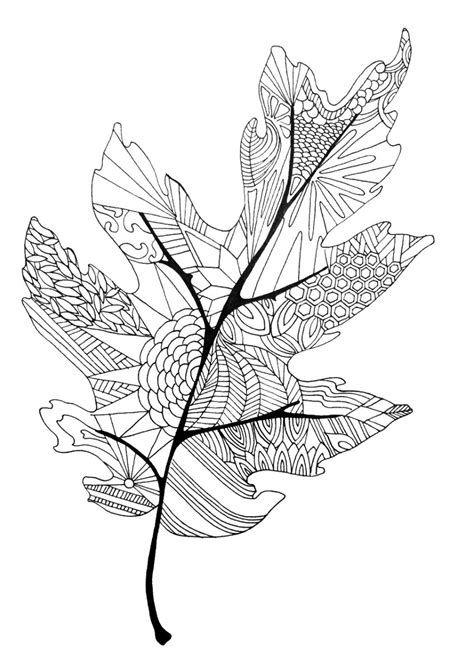 You can use our amazing online tool to color and edit the following free printable fall leaves coloring pages. Coloring pages - twineandtable