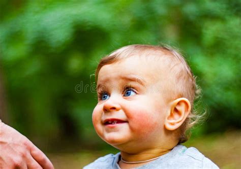 Portrait Of A Baby Boy With Blue Eyes Stock Photo Image Of Head
