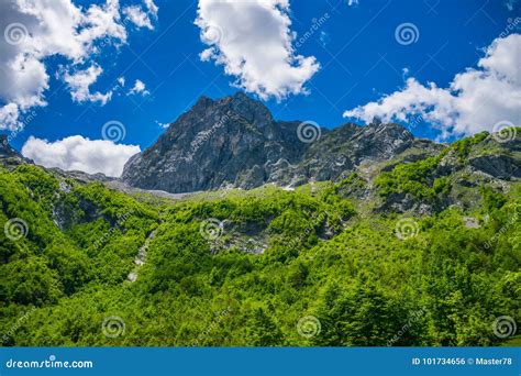 Scenic Forest And Meadows Among The Snow Capped Mountains Stock Photo