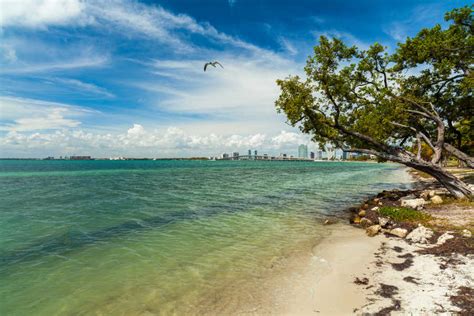 The 5 best beaches in Miami for families - Globetotting