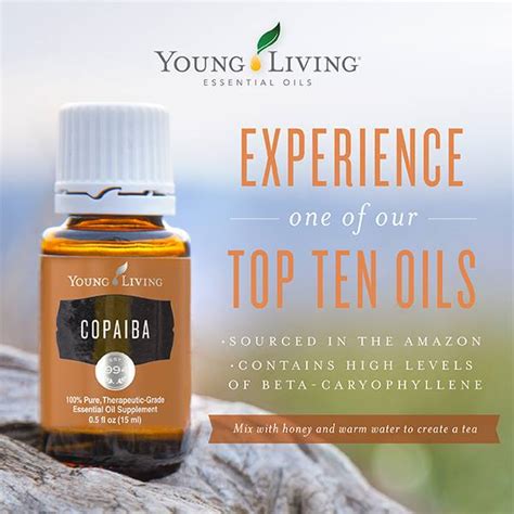 Young living products are not intended to diagnose, treat, cure, or prevent any diseases. Pass the Beta-Carophyllene, Please! - A Look at Copaiba ...