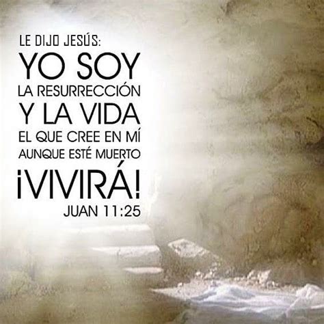 Yo soy el camino, la verdad y la vida. Le dijo Jesús: Yo soy la resurrección y la vida; el que cree en mí, aunque esté muerto, vivirá ...