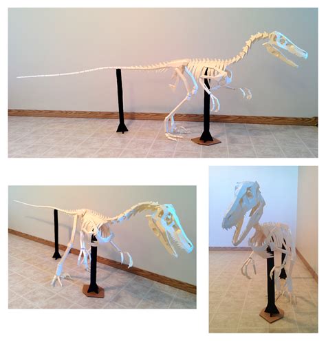 Velociraptor Skeleton Papercraft Build By Gedelgo On Deviantart