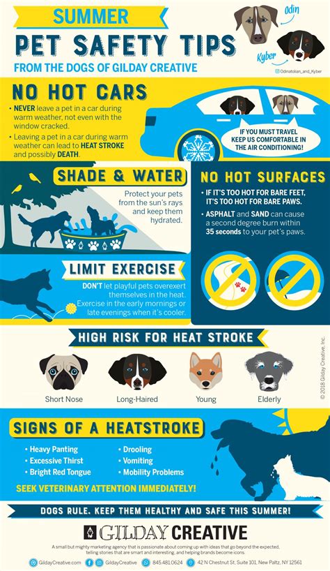 Summer Pet Safety Infographic Gilday Creative Inc