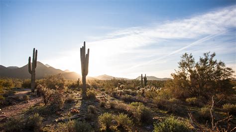 Wallpaper Scottsdale Arizona Usa Cactus Desert Sky Clouds Sun