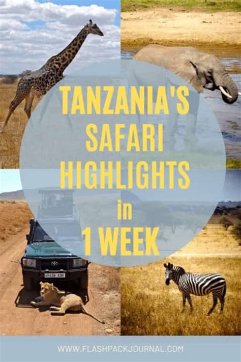 Tanzanias Safari Highlights In 1 Week Flashpack Journal