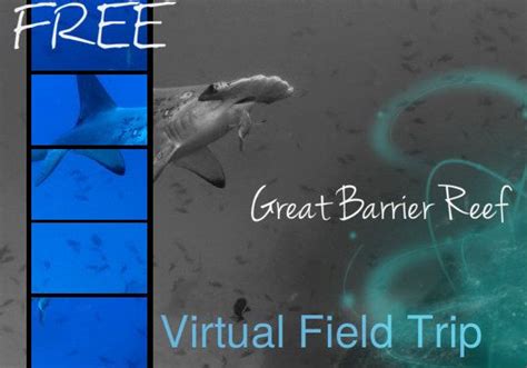 Free Virtual Field Trip To The Great Barrier Reef For All Ages