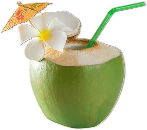 Air Kelapa Png 56 Koleksi Gambar