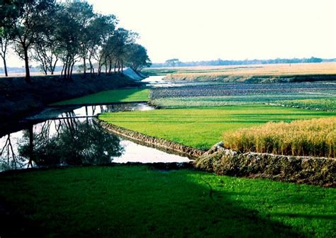 Rajshahi is anchored besides the river padma. Gift of Nature: Beauty of Nature: Bangladesh