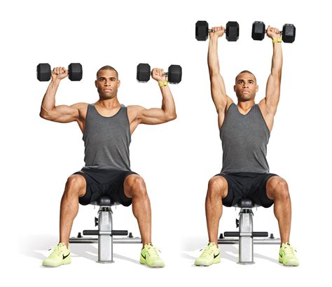 Bicep Dumbbell Exercises Useful Facts You Might Not Know Bicep