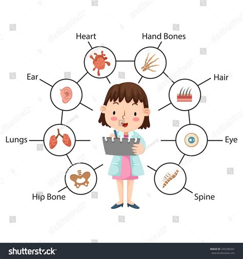 Idea Doctor Performing Physical Examination Illustration Stock Vector
