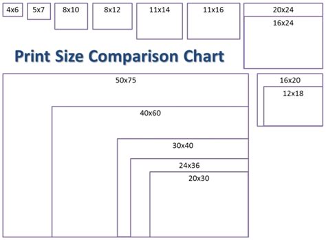 The goal of these various lenses and aspect ratios was to capture as much of the frame as comparison of several film aspect ratios with the heights forced to be equal. "Hear Me Roar" Metal Print With Your Choice Of Frame ...