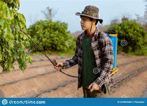 Gardening Concept A Young Male Farmer Spraying A Chemical Pesticide For Preventing The Crops