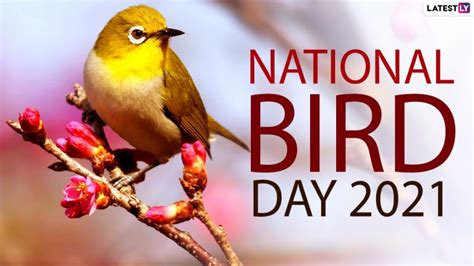 National Bird Day 2021 Date And Significance How To Celebrate Bird Day