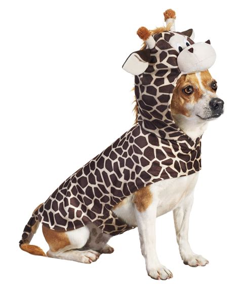 Giraffe Dog One Of Petcos Top 10 Halloween Costumes For