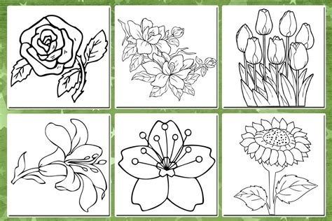 Bunga memang menjadi simbol keindahan dan biasanya mewakili sesuatu yang spesial. Mewarnai Bunga 1.0 APK Download - Android Education Apps