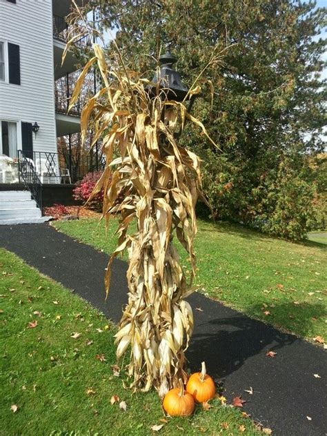 Start by filling a container with floral foam. Some local squashes and corn stalks around a light pole makes a great fall decoration. | Fall ...